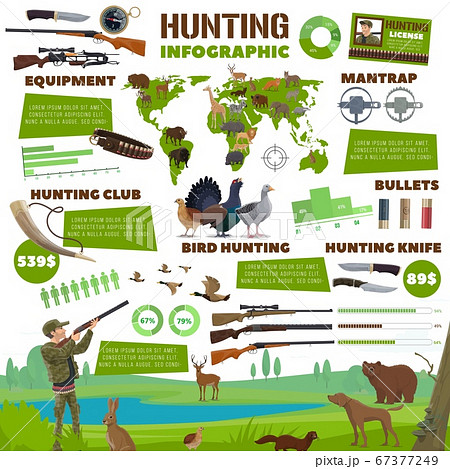 Hunting infographics, hunt equipment ammunition 67377249
