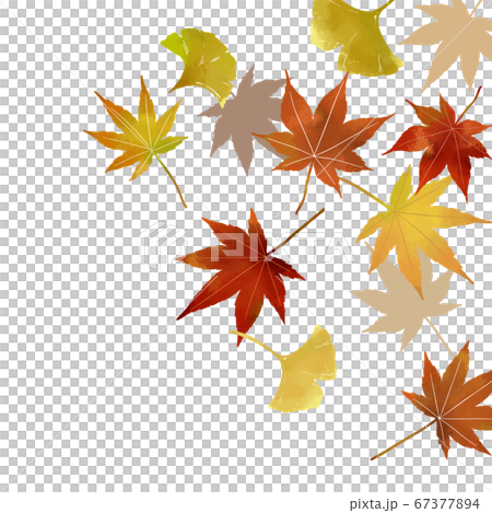 秋の紅葉の背景イラスト素材のイラスト素材