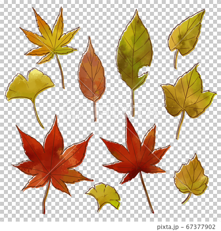 秋の紅葉の葉っぱのイラスト素材 濃いめ版ずれ のイラスト素材