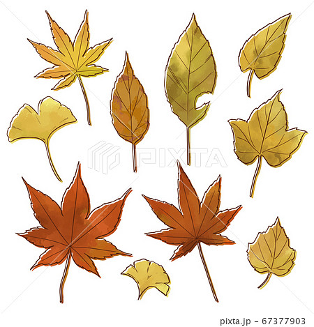 秋の紅葉の葉っぱのイラスト素材 薄め版ずれ のイラスト素材