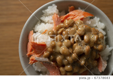 鮭と納豆のごはん 鮭と納豆のごはん 67378683