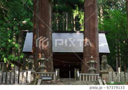 恵那神社の夫婦杉と本殿:岐阜県恵那市 恵那神社の夫婦杉と本殿:岐阜県恵那市 67379133