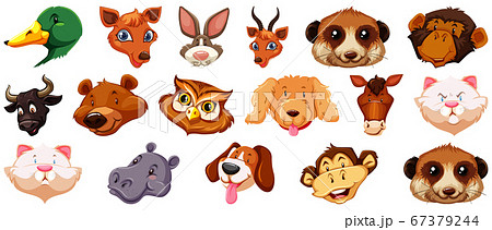 Set of different cute cartoon animals head huge 67379244