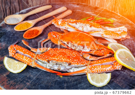 jumbo crab and spices herb on dark background jumbo crab and spices herb on dark background 67379662