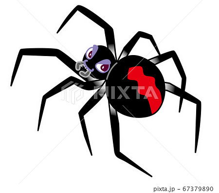 セアカゴケグモ イラスト セアカゴケグモ イラスト 67379890