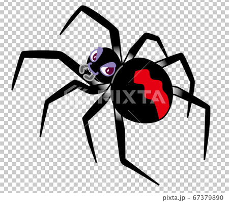 セアカゴケグモ イラスト セアカゴケグモ イラスト 67379890