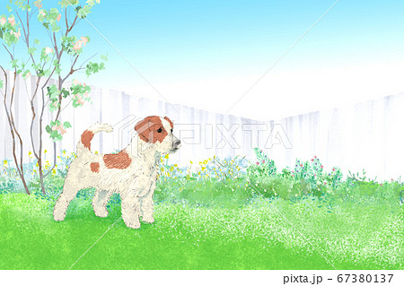 ナチュラルライフの風景イラスト 犬が遊ぶ庭のイラスト素材