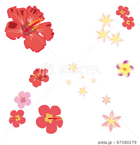 南国の花のイラスト素材 南国の花のイラスト素材
