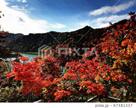 豊平峡ダムの紅葉 67381337