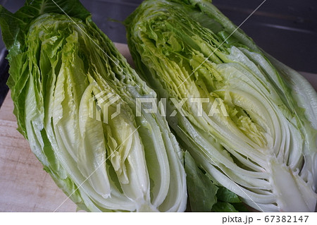 「ロメインレタスの断面」 67382147
