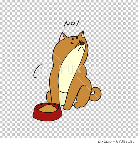 ごはんを拒否する柴犬 67382183