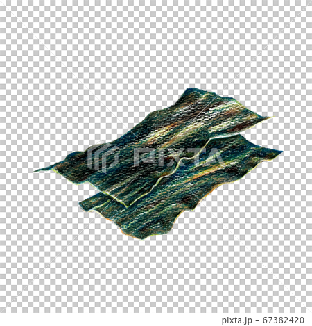 Picture of kelp drawn with colored pencils 67382420