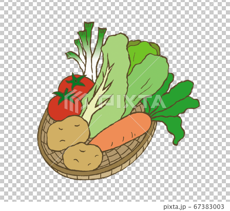 カゴに入った野菜のイラスト 67383003
