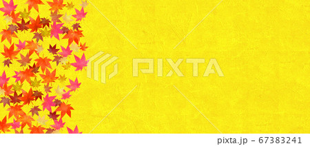金色のテクスチャー背景と紅葉 金色のテクスチャー背景と紅葉 67383241
