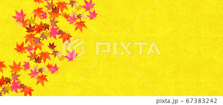 金色のテクスチャー背景と紅葉 67383242