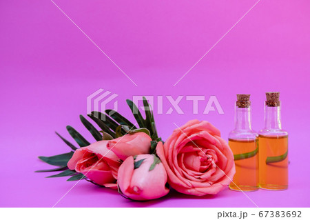 Essential oil in bottles extracted from rose Essential oil in bottles extracted from rose 67383692