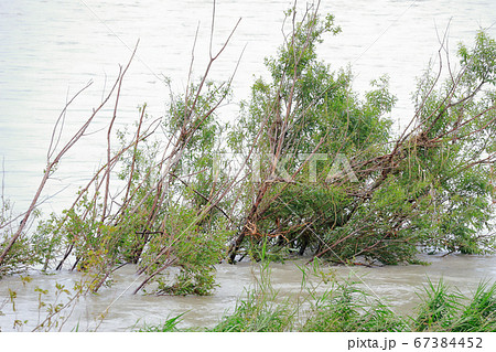 増水 増水 67384452