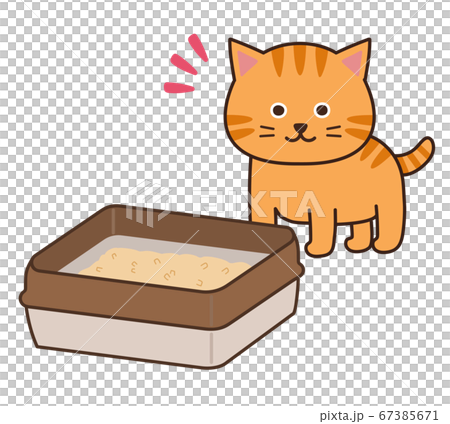 トイレを見つけるチャトラ猫のイラスト素材