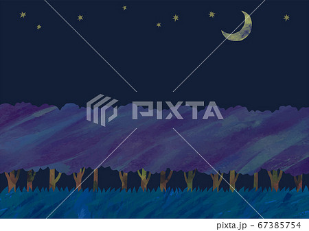 ベクター 夜の森の背景イラストのイラスト素材