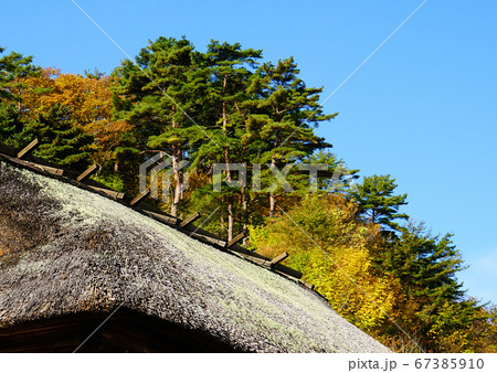 高湯温泉　紅葉　福島県 67385910