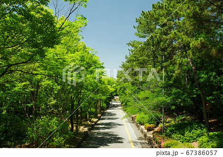 服部緑地 緑道 服部緑地 緑道 67386057