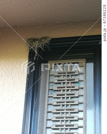 作りかけの燕の巣 67386228