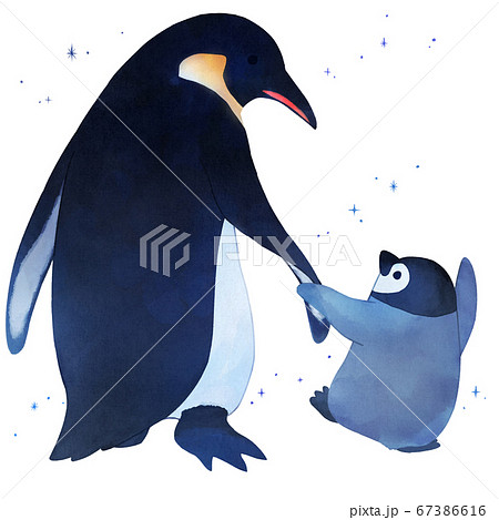 手を繋ぐ皇帝ペンギンの親子のイラスト素材