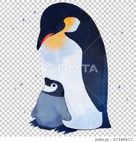 皇帝ペンギンの親子のイラスト素材