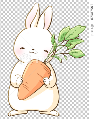 A smiling white rabbit and a carrot 67387501