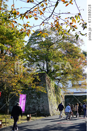 鶴ヶ城 紅葉 福島県 鶴ヶ城 紅葉 福島県 67388018
