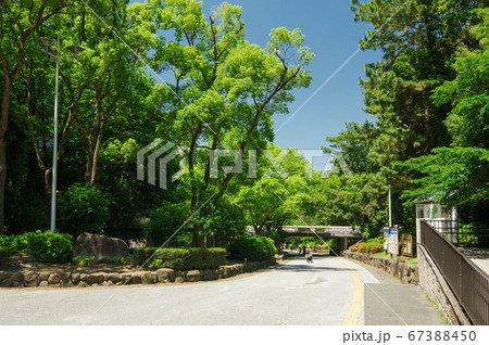 緑地公園駅前の緑道 67388450