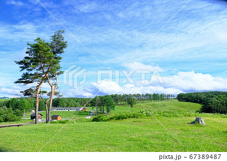 浅間高原牧場 牧場の風景 浅間高原牧場 牧場の風景 67389487