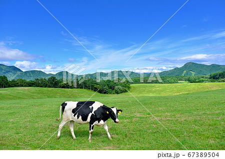 浅間高原牧場　牧場の風景 67389504