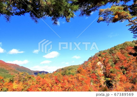 紅葉の鳴子郷 紅葉の鳴子郷 67389569