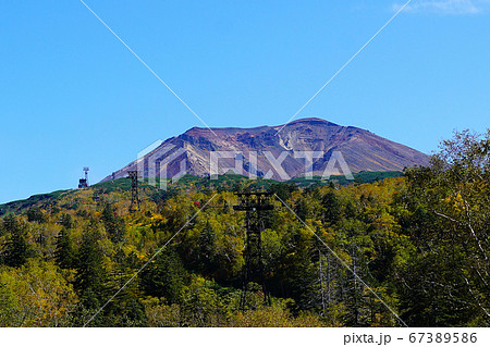 北海道　旭岳　紅葉 67389586
