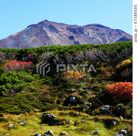 北海道　旭岳　紅葉 67389595