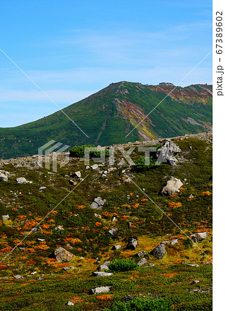 北海道　旭岳　紅葉 67389602