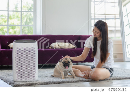 Woman playing with Dog Pug Breed and Air purifier in cozy white living room for filter and cleaning removing dust PM2.5 HEPA in home,for fresh air and healthy life,Air Pollution Concept 67390152