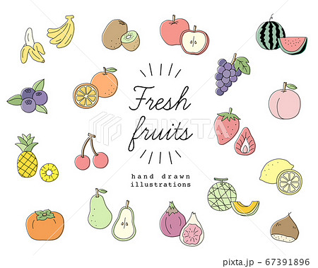 手書きのフルーツのイラスト素材のセット 果物 おしゃれ かわいいのイラスト素材