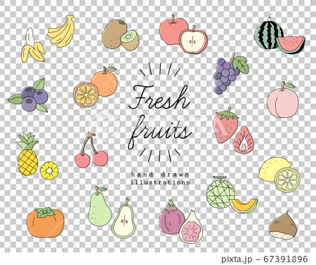 手書きのフルーツのイラスト素材のセット 果物 おしゃれ かわいいのイラスト素材