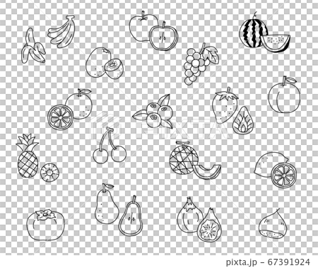 手書きのフルーツのイラスト素材のセット/果物/おしゃれ/かわいい 手書きのフルーツのイラスト素材のセット/果物/おしゃれ/かわいい 67391924