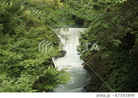 長田峡の滝 長田峡の滝 67393999