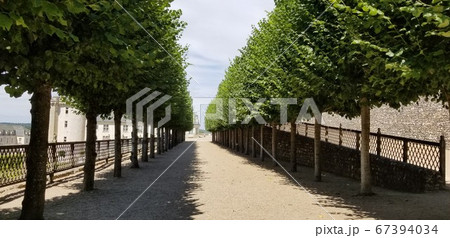 フランスでもっとも素晴らしい庭園の一つ、ロワール地方のヴィランドリー フランスでもっとも素晴らしい庭園の一つ、ロワール地方のヴィランドリー 67394034