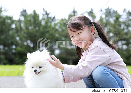 公園で女の子が愛犬ポメラニアンと散歩 67394051