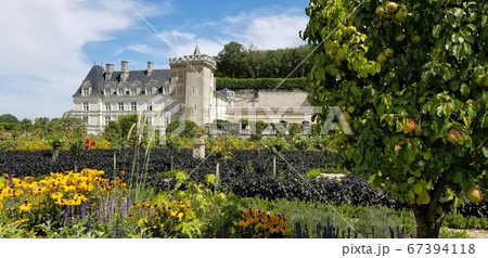 フランスのもっとも素晴らしい庭園のひとつ、ロワール地方のヴィランドリー フランスのもっとも素晴らしい庭園のひとつ、ロワール地方のヴィランドリー 67394118