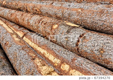 stacks of logs close up stacks of logs close up 67394270