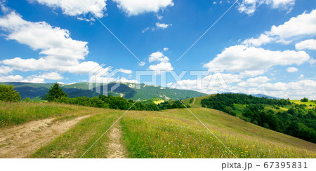 path through the meadow in mountains. sunny summer 67395831