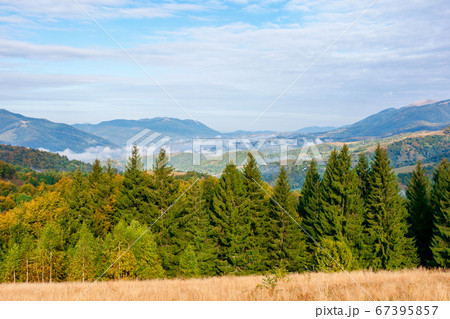 wonderful autumn landscape in evening light. open wonderful autumn landscape in evening light. open 67395857