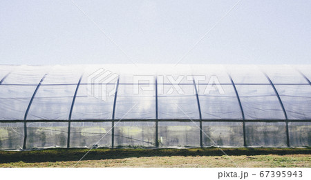 A polytunnel for growing crops with an opaque covering. A polytunnel for growing crops with an opaque covering. 67395943