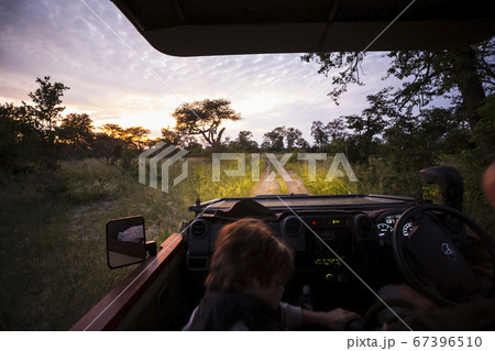 Motion blur, a safari vehicle driving on a dirt track with headlights on after sunset. Motion blur, a safari vehicle driving on a dirt track with headlights on after sunset. 67396510